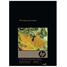 HP 13" x 19" Advanced Glossy Photo Paper - 25 Sheets